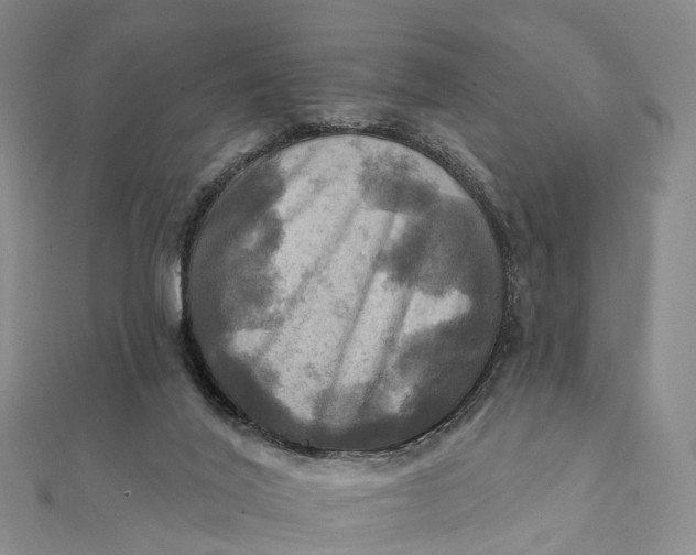 X0000112100020200908251159