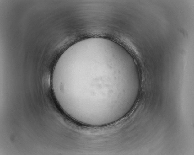 X0000112100021200908251159