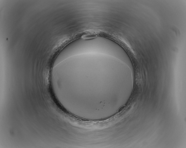 X0000112100023200908251159