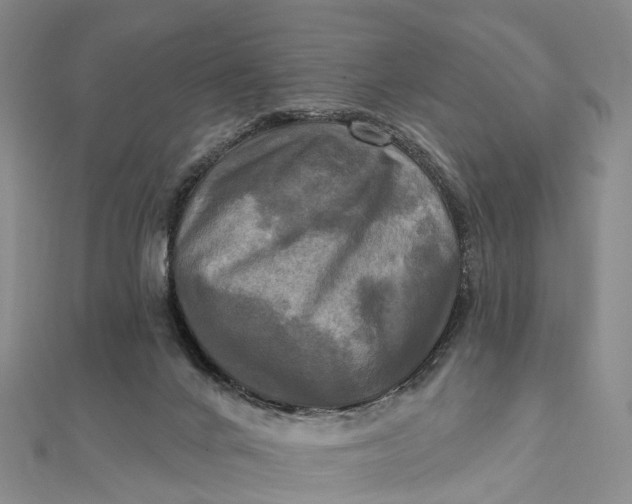 X0000112100024200908251159