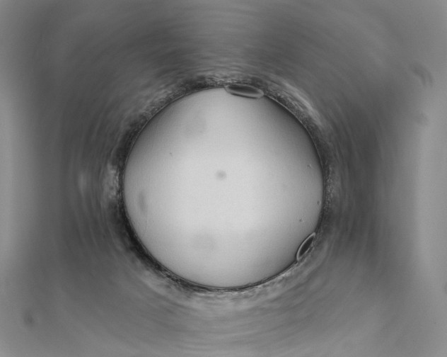 X0000112100025200908251159