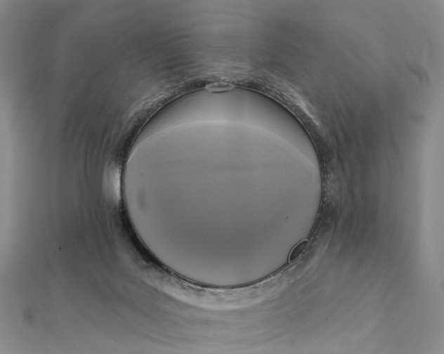 X0000112100027200908251159