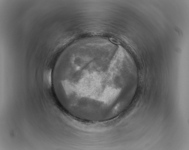 X0000112100028200908251159