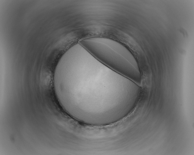 X0000112100029200908251159