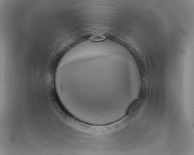 X0000112100031200908251159