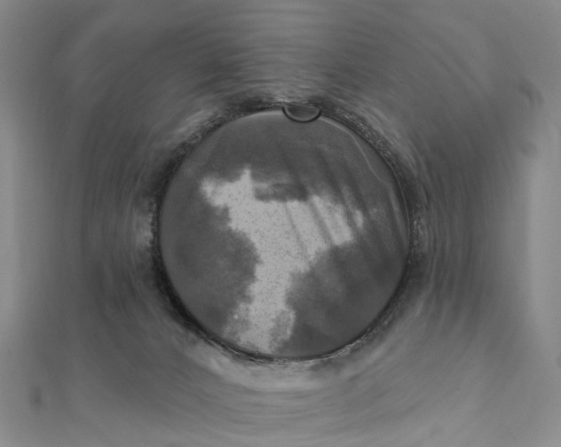 X0000112100032200908251159