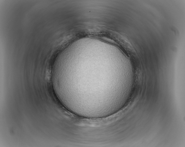 X0000112100033200908251159