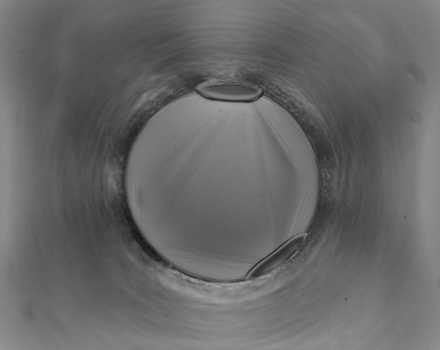 X0000112100035200908251159