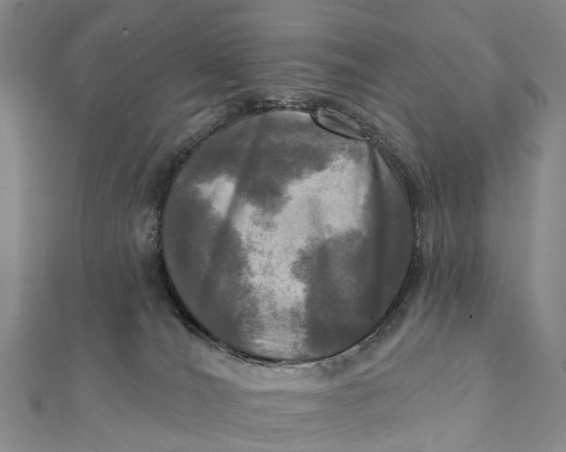 X0000112100036200908251159