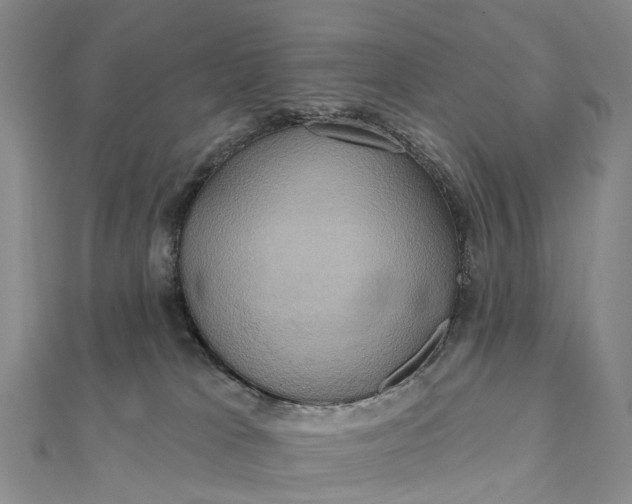 X0000112100037200908251159