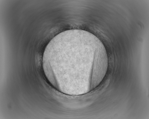 X0000112100038200908251159