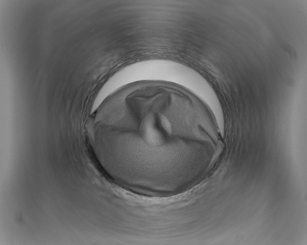X0000112100039200908251159