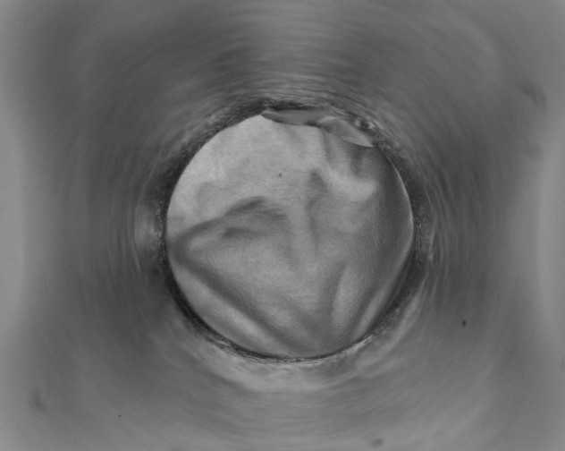 X0000112100040200908251159