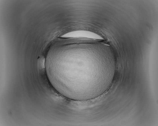 X0000112100041200908251159