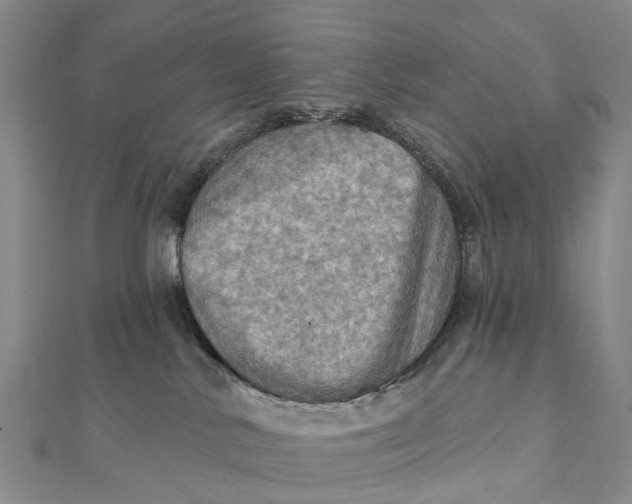 X0000112100042200908251159