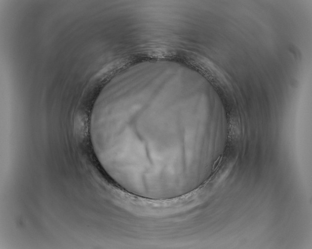 X0000112100043200908251159