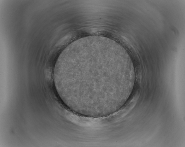 X0000112100044200908251159