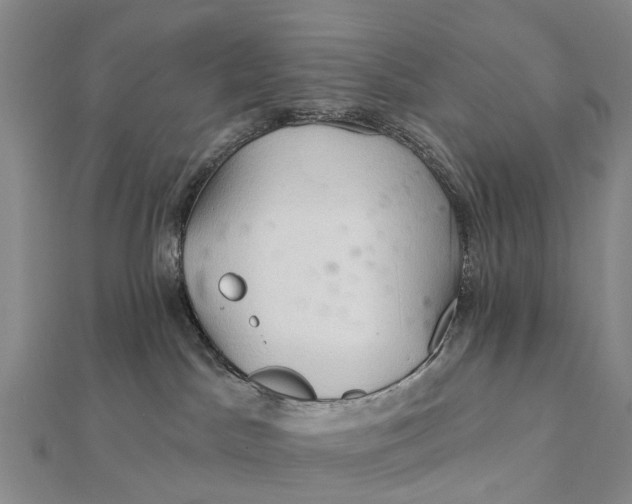 X0000112100045200908251159