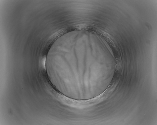 X0000112100047200908251159