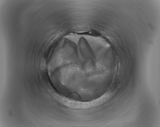 X0000112100048200908251159