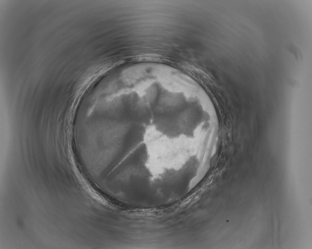 X0000112100049200908251158