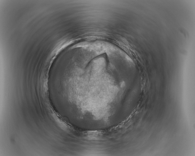 X0000112100050200908251158