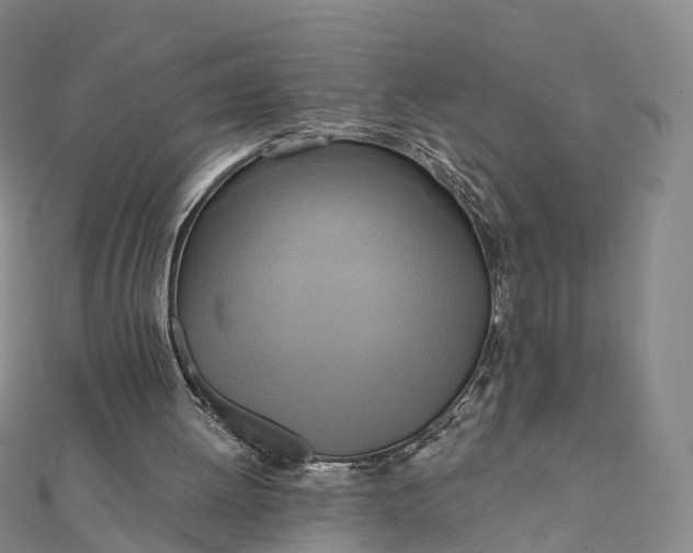 X0000112100052200908251158