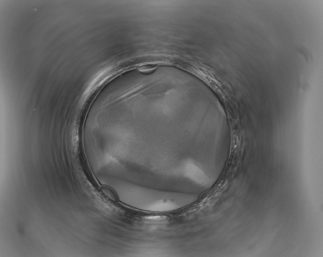 X0000112100053200908251158