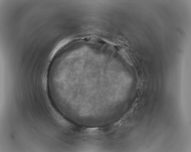 X0000112100054200908251158