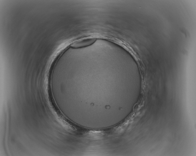 X0000112100055200908251158