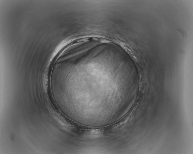 X0000112100056200908251158