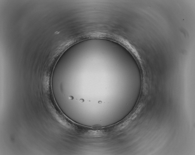 X0000112100057200908251158