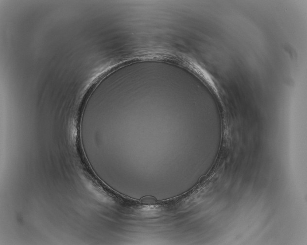 X0000112100059200908251158