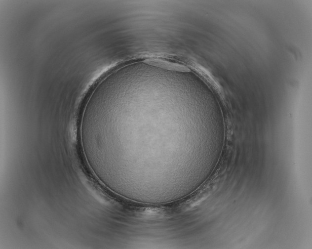 X0000112100060200908251158