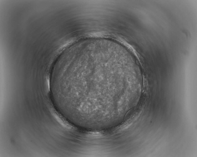 X0000112100061200908251158