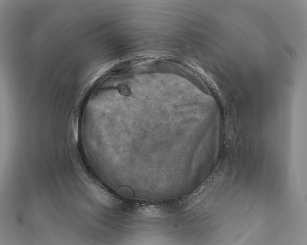 X0000112100062200908251158