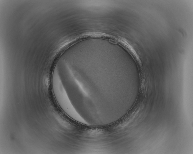 X0000112100063200908251159