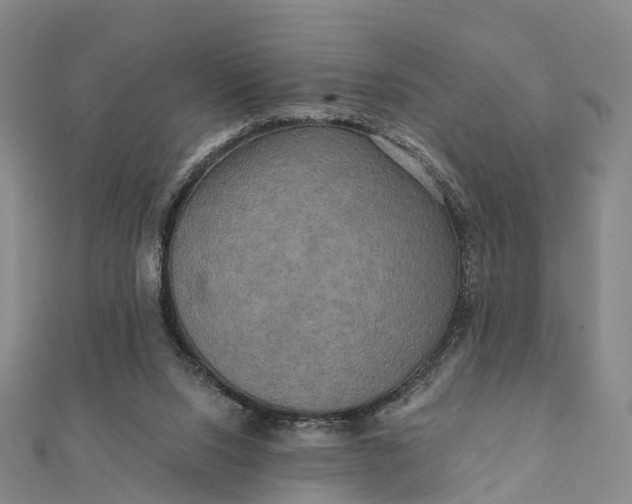 X0000112100064200908251159