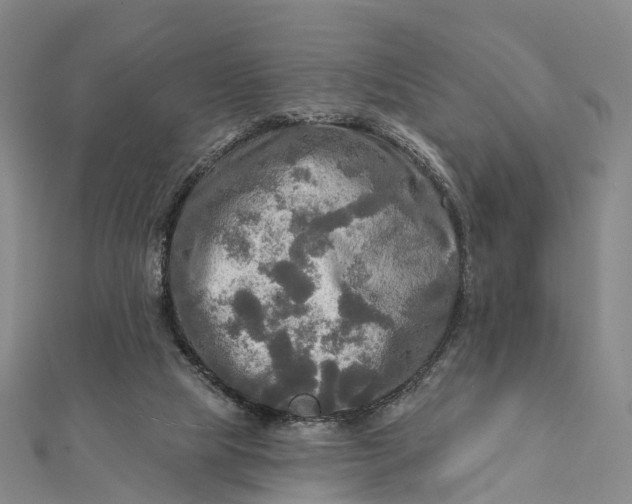 X0000112100065200908251159