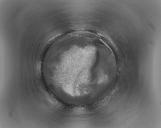 X0000112100066200908251159