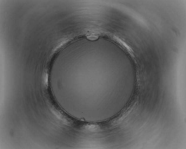 X0000112100067200908251159