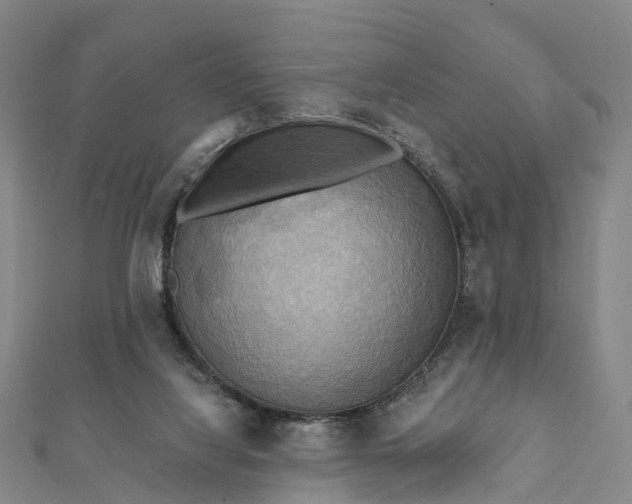 X0000112100068200908251159