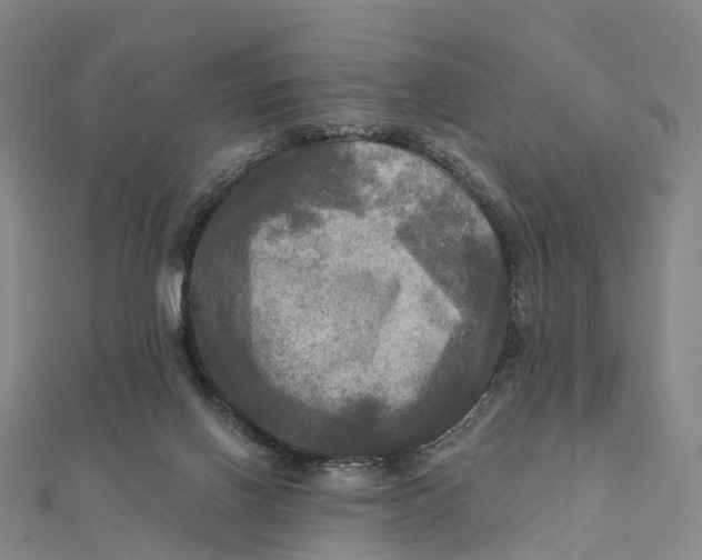 X0000112100070200908251159