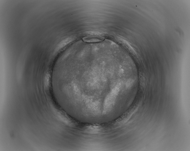 X0000112100071200908251159