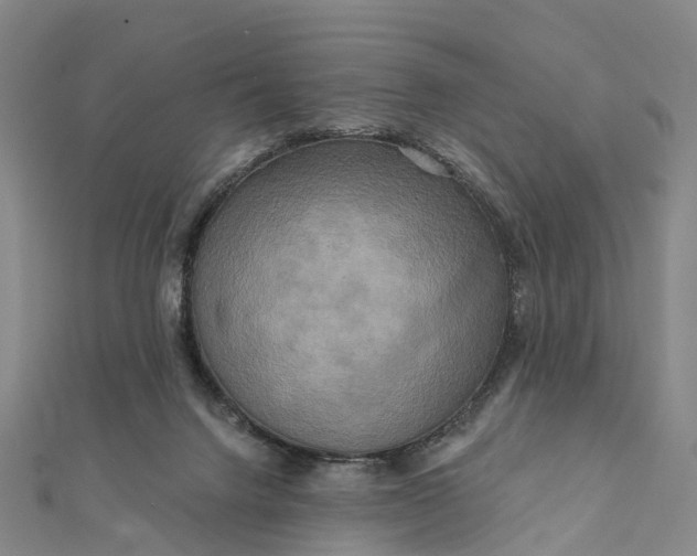 X0000112100072200908251159