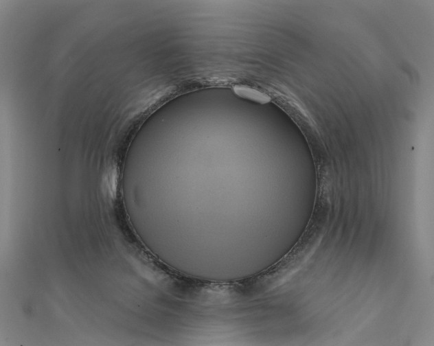 X0000112100076200908251159