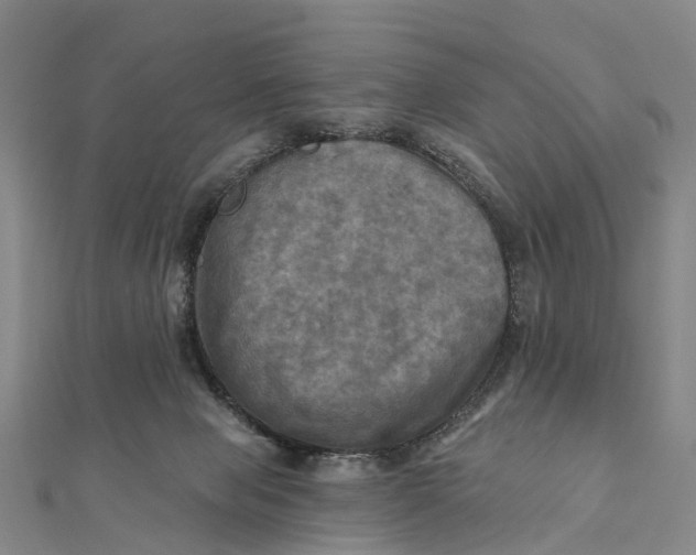 X0000112100077200908251159