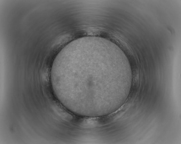 X0000112100078200908251159