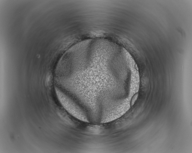 X0000112100079200908251159