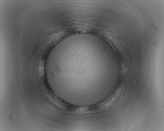 X0000112100080200908251159